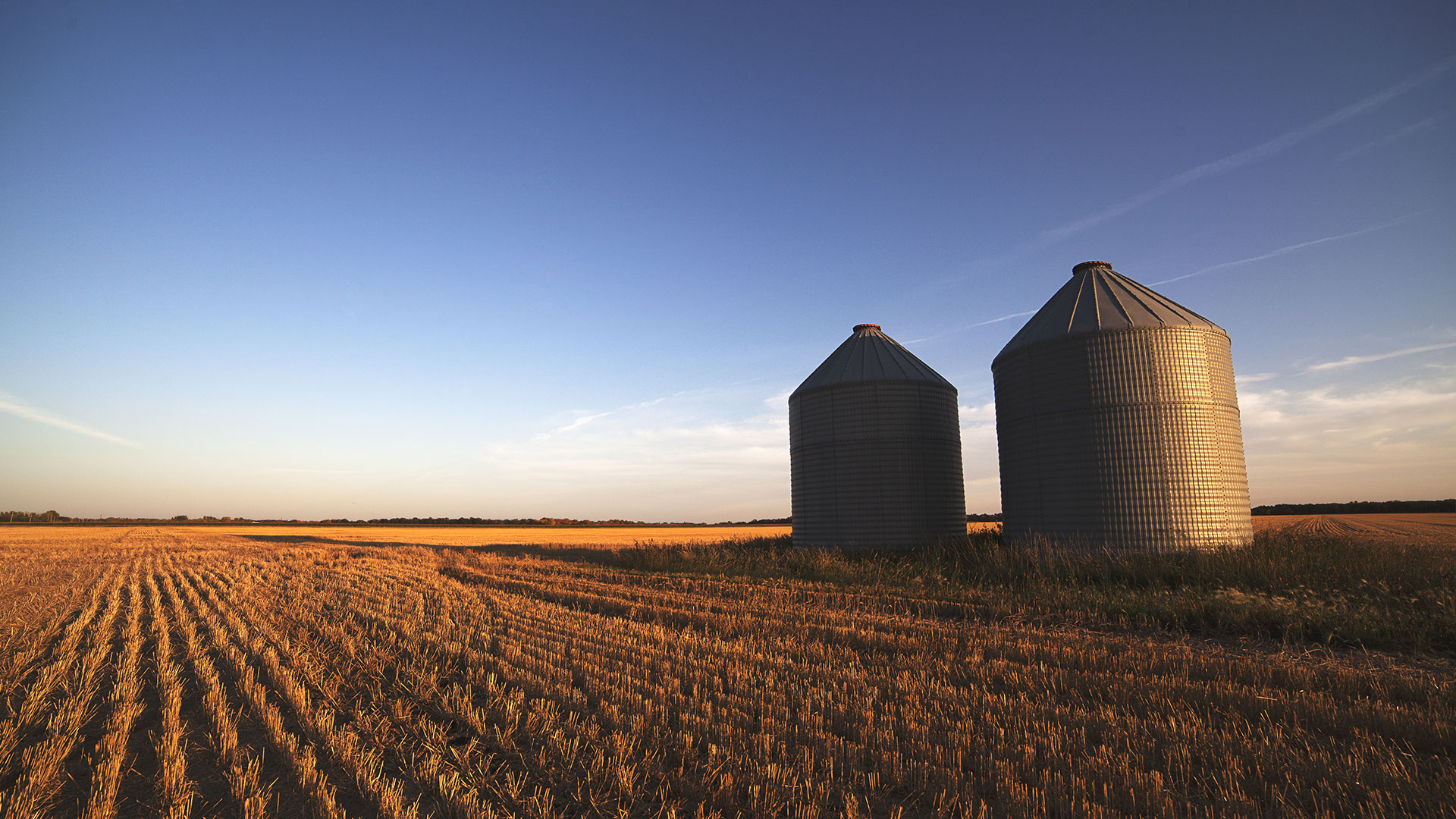 AGRI-SEARCH, Ag Jobs, Ag Careers and Ag Recruiters