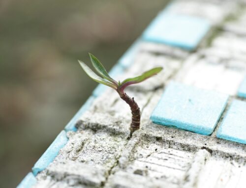 May 2025 – When You’re Waiting for a Breakthrough